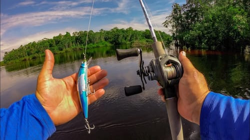 Huge Amazon Jungle Fish Destroys This Bait!