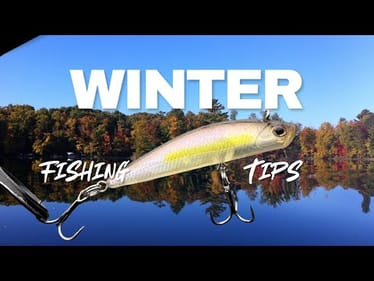 Winter Bass Fishing Tips Nobody Tells You! But I Do!