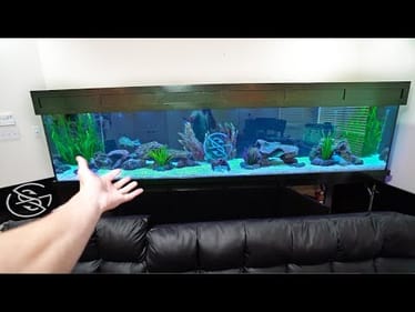 We Caught a NEW PET... and It's BIG!