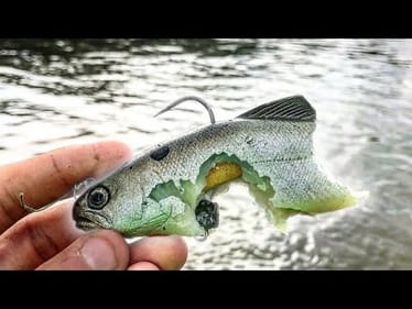 PIRANHA ARE VICIOUS! (Fishing the AMAZON!)