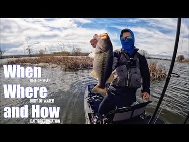 This is how I caught 50 big bass (Bait and Location revealed)