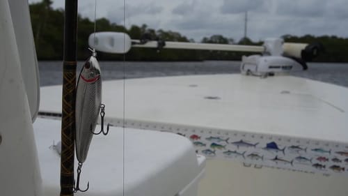 Fishing Before the Storm