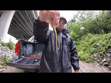 SMALL MOUTH CANT RESIST THIS BAIT