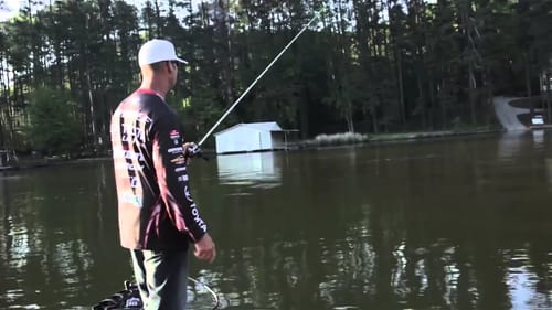 How to Sight Fish for Bass