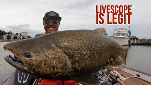 King Salmon Video Game Fishing with Garmin Panoptix Livescope