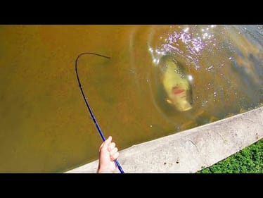 I ALMOST DIDN’T CATCH this BEHEMOTH BASS!!