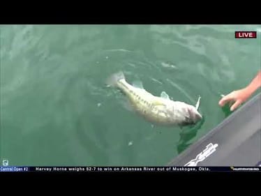 Cliff Pace lands an 8-pounder at Texas Fest