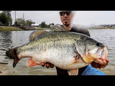 IT'S A 10 POUNDER!!!