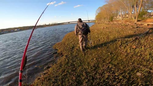 Striper fishing: I couldn't be more annoying if I tried!