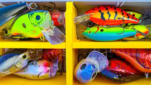 How To Catch Bass In Muddy Water:  Spinnerbait, Crankbait, and Jig Fishing Tips!