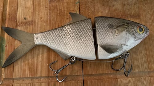 The Swimbait That Is About To Go Viral…