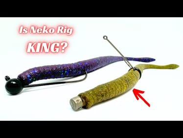 Does A Neko Rig Outperform A Shaky Head?