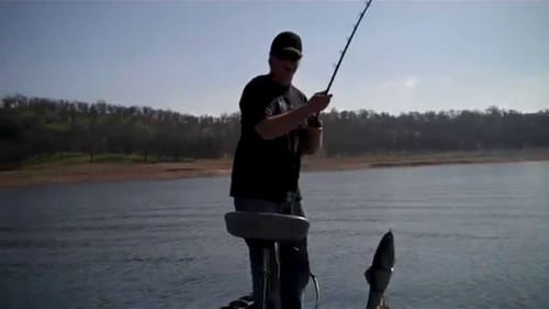 Winter Topwater Wakebait Action