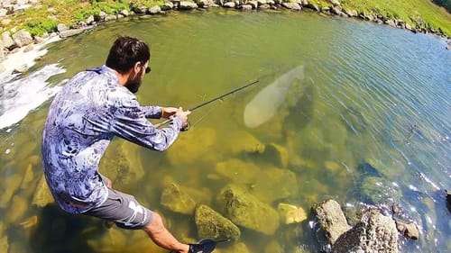 I've been CHASING THIS CREEK MONSTER FOR YEARS! (RARE)