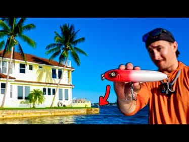Seawall Fishing for Saltwater Giants in a Florida River