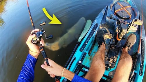 I DONT KNOW WHAT THIS THING IS, BUT ITS HUGE!