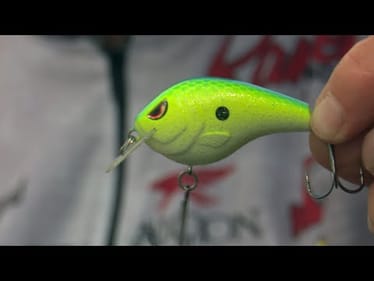 Top 5 Baits for September Bass Fishing: Pro Tips | Bass Fishing