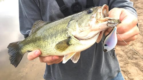 Making Lipless CrankBaits