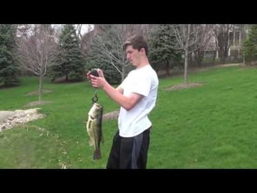 Pre-Spawn Toads (3 fish of a 21lb bag)