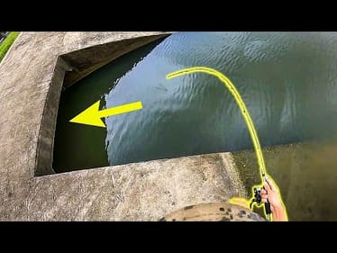 UNEXPECTED CATCH from INSIDE a TUNNEL!!