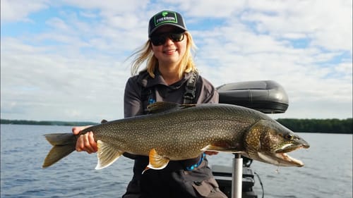 Jigging for Lake Trout with Swimbaits! (Ontario)