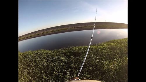 Bass Fishing Delta Mendota Canal
