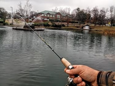 TROUT FISHING Local Pond   ||ARE THERE ANY LEFT???||