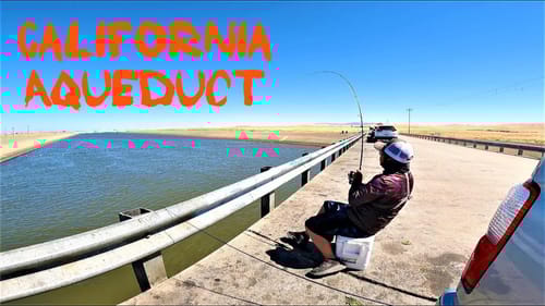 Bait and Wait(California Aqueduct)