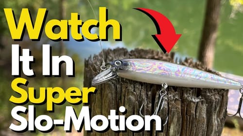 MOST Critical Factor for Jerkbait Success | Jerkbait Fishing Tips