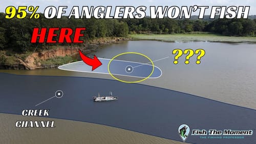 This Pattern Has Dominated Pro Fishing For 20+ Years - Here's How to Do It