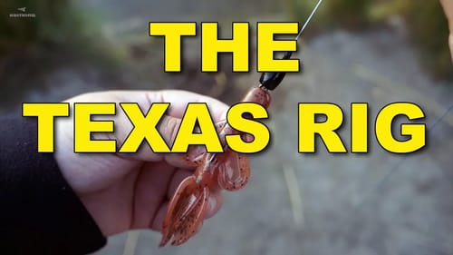 The Texas Rig: Proven Tactics You Need To Know | Bass Fishing