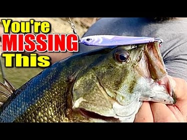 Is Your Winter Bass Fishing Gear Missing This ONE Crucial Item?