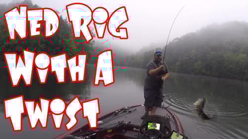 New Baits for the Old Ned Rig!