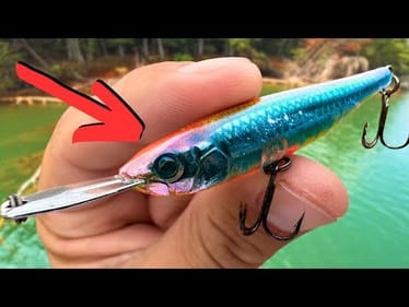 These BASS Were IMPOSSIBLE To Catch Until I Did THIS (Lake Break)