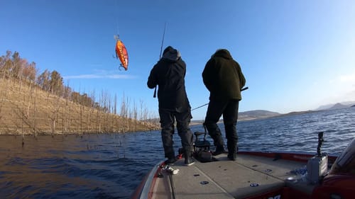 Pike Fishing at La Serena Lake in Spain - #BigPikeDREAMS Episode 13