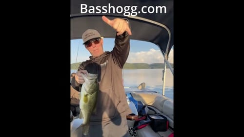 Basshogg   Shane Kick