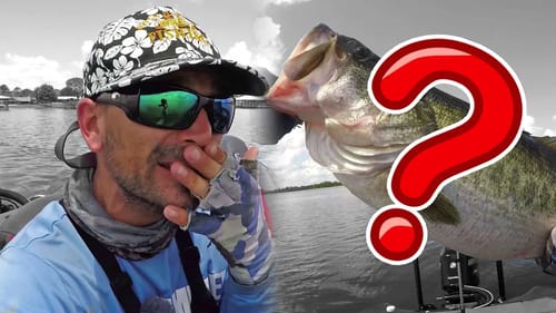 You DON'T KNOW this about SPOON Fishing
