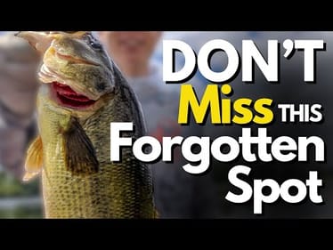 The Secret Spot Many Bass Anglers Forget About (What to Look For)