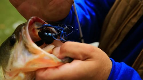 "Soaking a Jig" for Finicky Bass with Mike Iaconelli