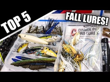 Top 5 Fall Bass Fishing Lures (Beginner Fishing Lure Tips)