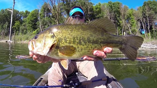 Morning Recap/Swim Jig Bass