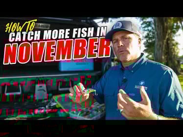 How to Catch MORE Fish in the Colder Fall Months (November)