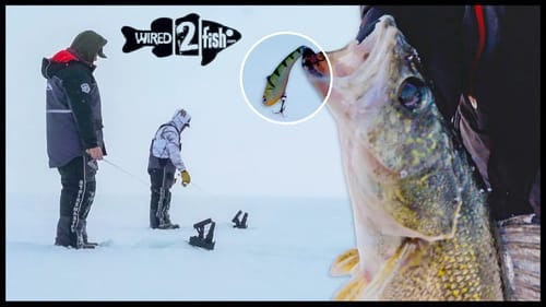 4 Lipless Crankbait Tips for Ice Fishing Walleyes
