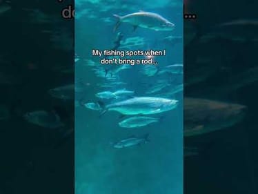 My fishing spots when I don’t bring a rod #fishing