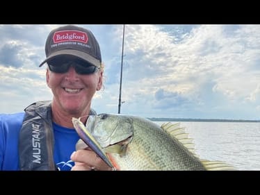 How Unseasonably Warm Winter Days Affect Bass Behavior