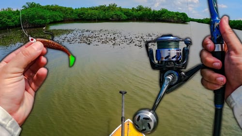 Paddleboarding to Catch Fish on Oysterbars, Flats and Mangroves