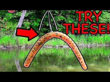 3 SNEAKY Wacky Rig Tricks to Catch MORE Fish!