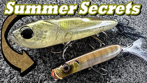 Unveiling TOPWATER Fishing SECRETS