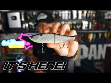 It's FINALLY Happening! Fall Bass Fishing Secrets Revealed! Best Baits, Setups & Strategies Seminar