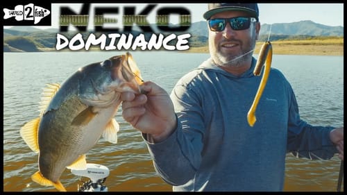 The Rise of the Neko Rig Finesse Bass Tactic